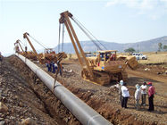 O guindaste da tubulação da maquinaria de construção de estradas da conservação de energia avaliou a capacidade de carga de 25 toneladas