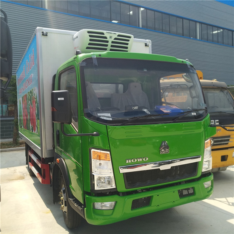 A luz de Howo refrigerou o tipo de condução de 3 toneladas da capacidade 4X2 do caminhão da carga