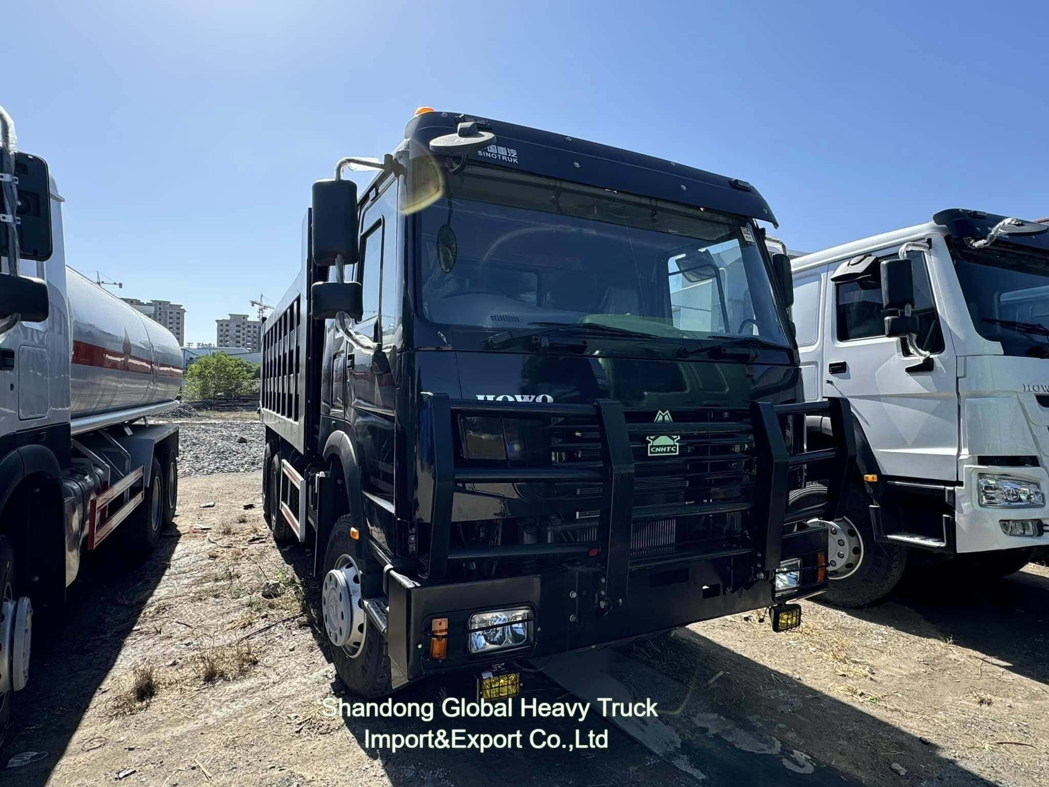 Sinotruck HOWO 6X6 8X4 6X4 10 Rodas 12 Rodas Camião de despejo Camião de despejo Camião de despejo