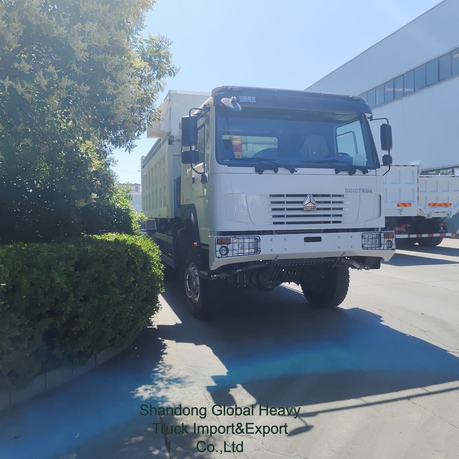 Sinotruk HOWO 6X4 371HP 380HP 8X4 400HP Carrinho diesel Sinotruk