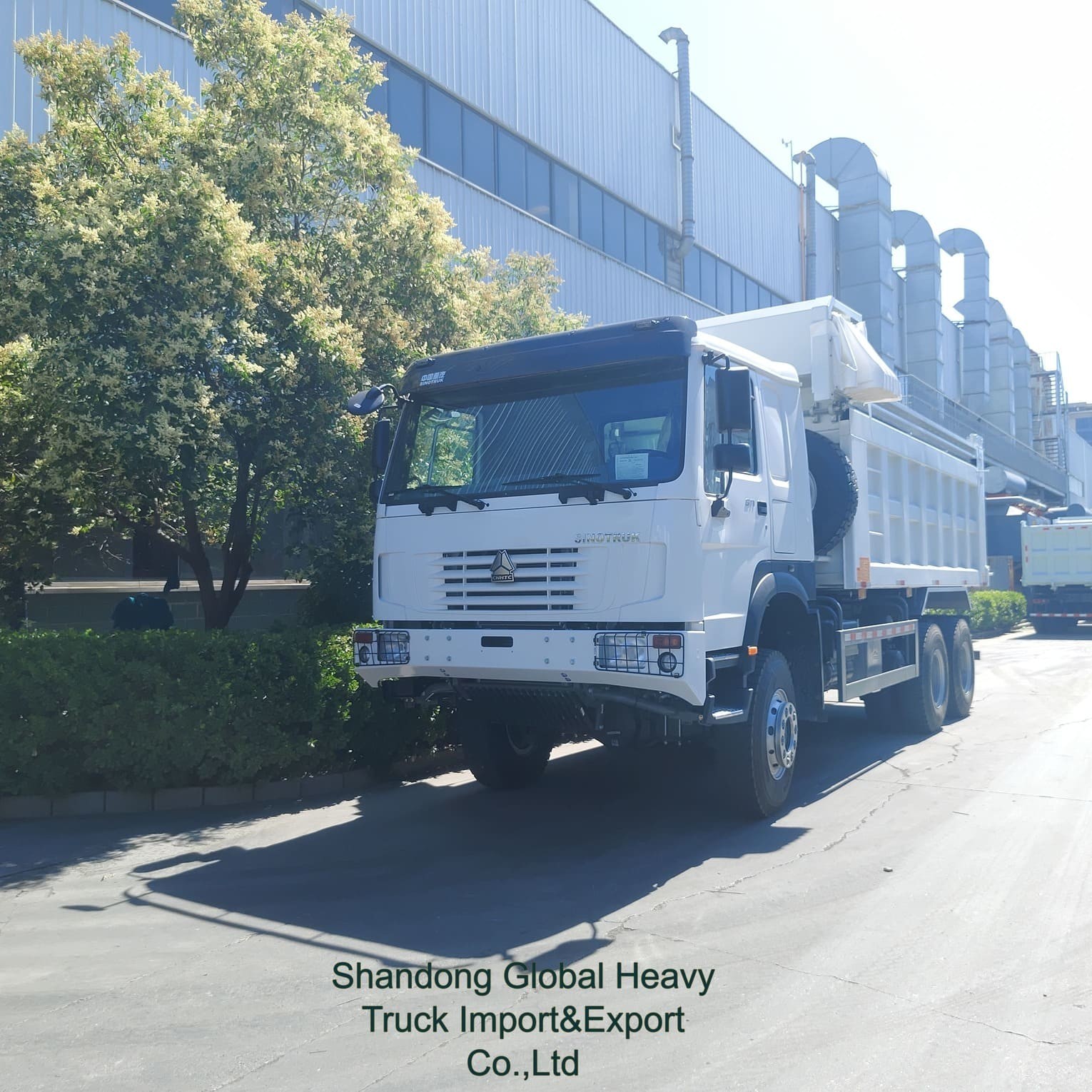 Venda Quente Sinotruk HOWO Novo Produtor de Carga Usada